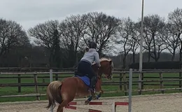 Anneke tijdens een buitenrit.
