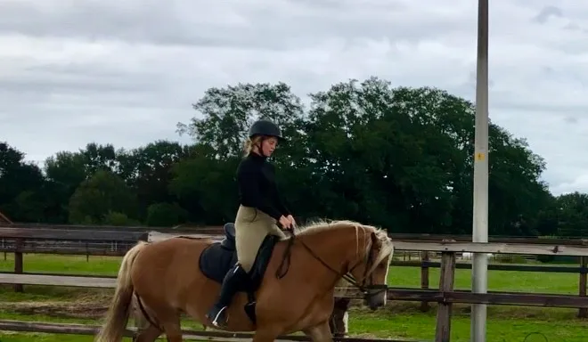 Anneke, een Haflinger merrie.