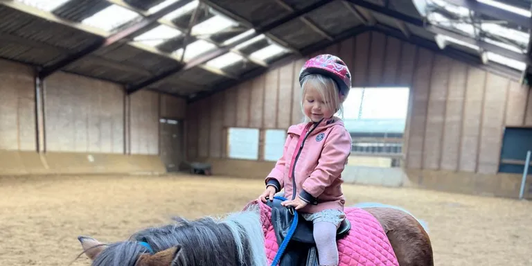 Frou Frou, een lieve Shetlander merrie.