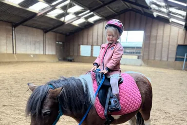 Frou Frou, een lieve Shetlander merrie.