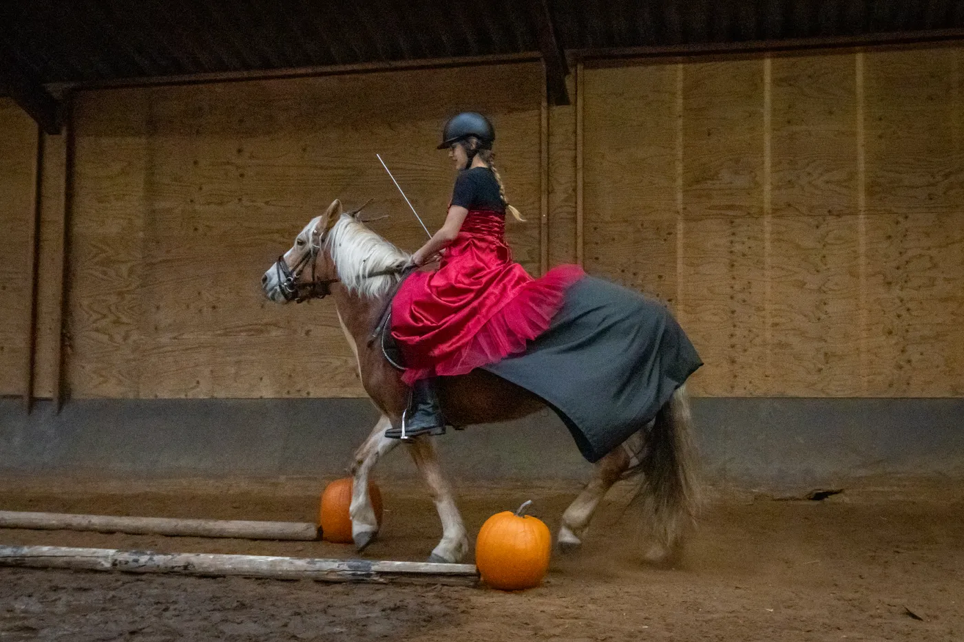 Lease pony verkleed voor Halloween, met pompoenen in de rijbak.