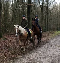 Stagiaires die pony's verzorgen bij Ponylease.